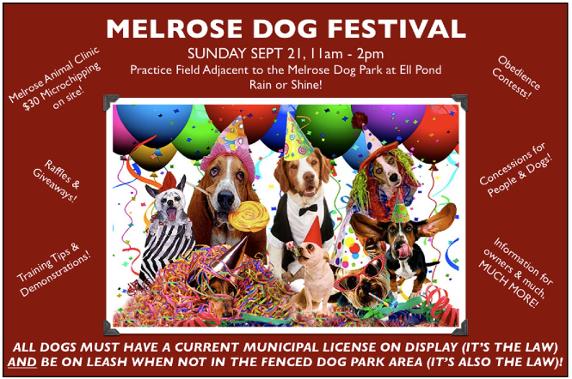 melrose animal clinic prices